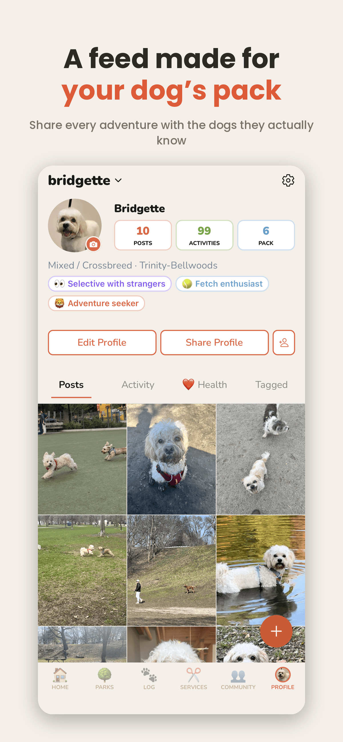 Onslow's app — your dog's profile